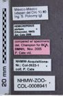 Etiketten zu Heterocrepidius pictipes (NHMW-ZOO-COL-0008941)